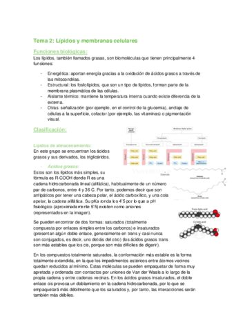 tema-2.pdf