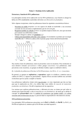 Tema 2 - Enzimas de la replicación.pdf