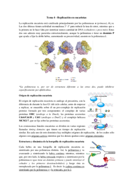 Tema 4 - Replicación en eucariotas.pdf