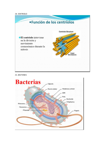 VISU-COMPLETO.pdf