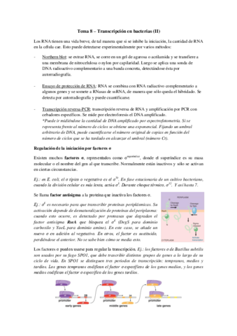 Tema 8 - Transcripción en bacterias (II).pdf