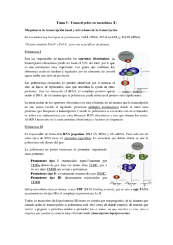 Tema 9 - Transcripción en eucariotas (I).pdf