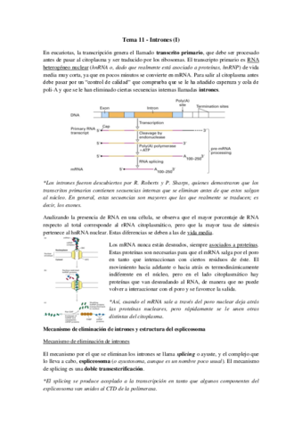 Tema 11 - Intrones (I).pdf