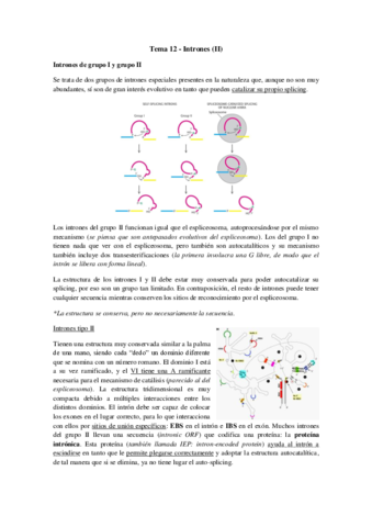 Tema 12 - Intrones (II).pdf