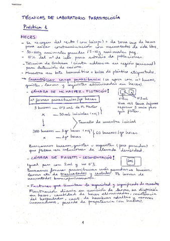PRACTICA-1-PARASITOLOGIA.pdf