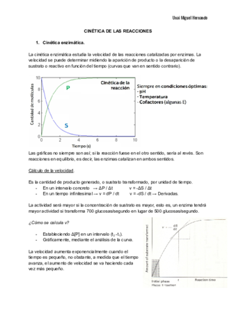 7. Cinética de las reacciones.