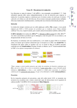 Tema 18 - Mecanismo de traducción.pdf