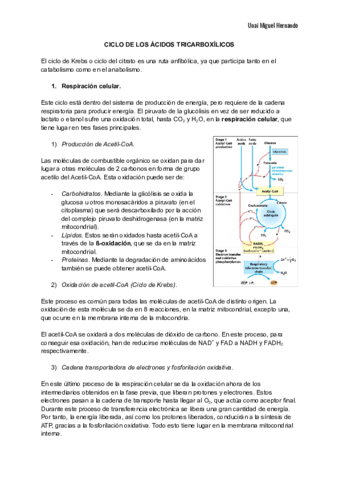 16. Ciclo de los ácidos tricarboxílicos.