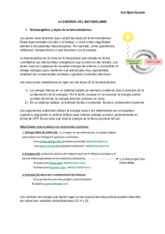 11. La energía del metabolismo.