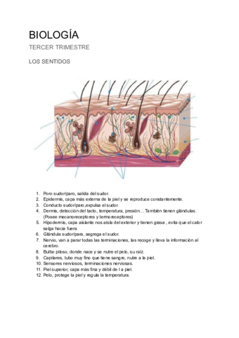 inbound8185037920619866771.pdf