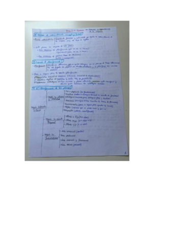 Economia-tema-4-selectividad.pdf
