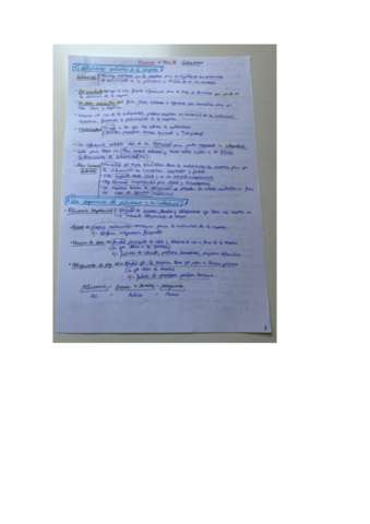 Economia-tema-9-selectividad.pdf