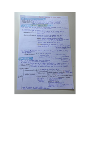 Economia-tema-5-selectividad.pdf