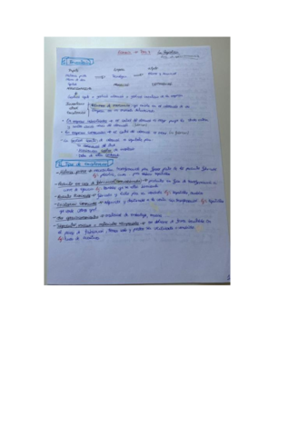 Economia-tema-7-selectividad.pdf