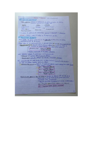 Economia-tema-6-selectividad.pdf