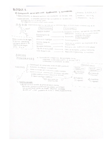 Bioelementos-y-biomoleculas-.pdf