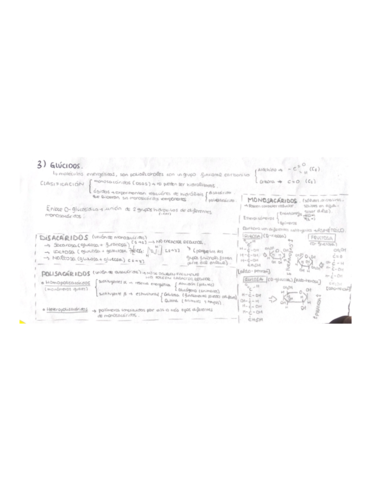 Esquema-Glucidos.pdf