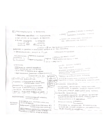 METABOLISMO-Y-ENZIMAS.pdf