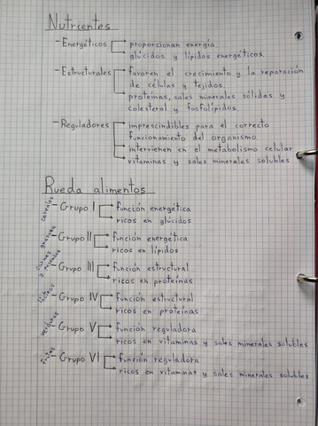 Salud-III.jpg