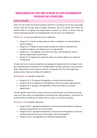 FUNCIONES-DE-LOS-OBSTETRAS-EN-LOS-DIFERENTES-NIVELES-DE-ATENCION.pdf