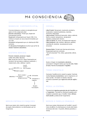 m4-CONCIENCIA.pdf