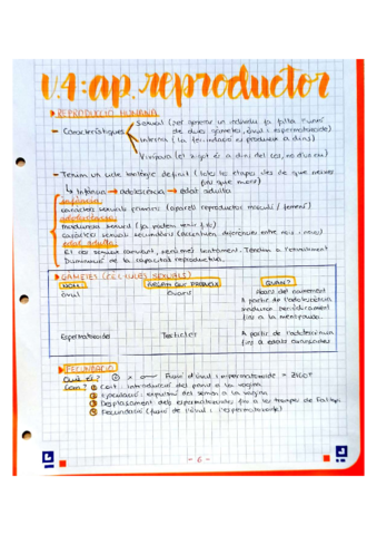 UD-4-La-reproduccio-humana.pdf