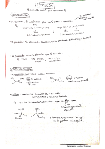 Apuntes-isomeria.pdf