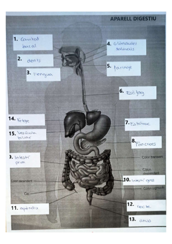 Parts-dels-aparells.pdf