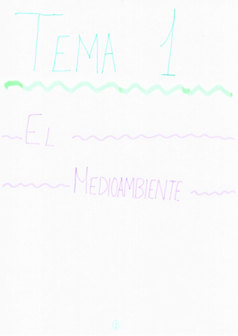 TEMA-1-MEDIOAMBIENTE.pdf
