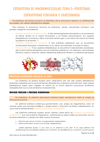 MacroTema5Proteinas-Estructura-Terciaria.pdf