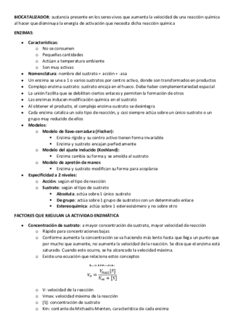 TEMA-5-ENZIMAS-Y-VITAMINAS.pdf