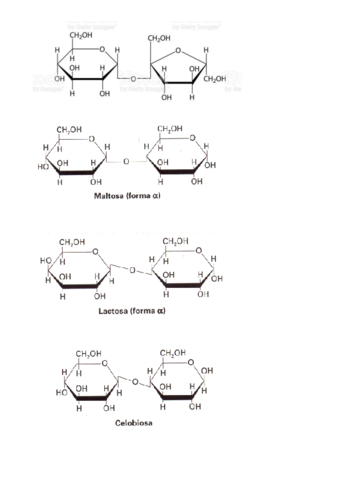 FORMULAS-DISACARIDOS.pdf
