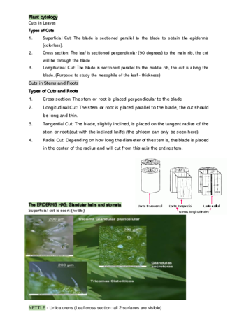 botany.pdf