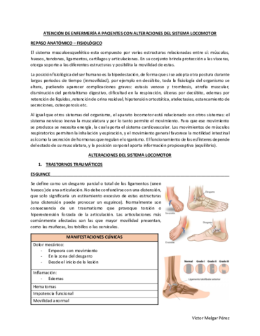 LocomotorMQ3.pdf