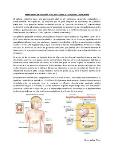 EndocrinoMQ3.pdf