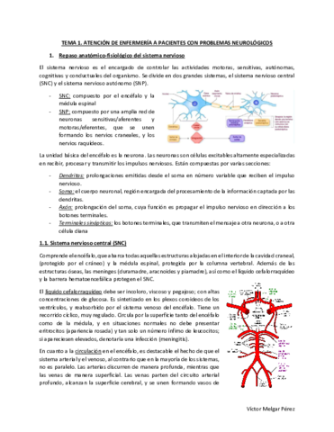 NeurologiaMQ3.pdf