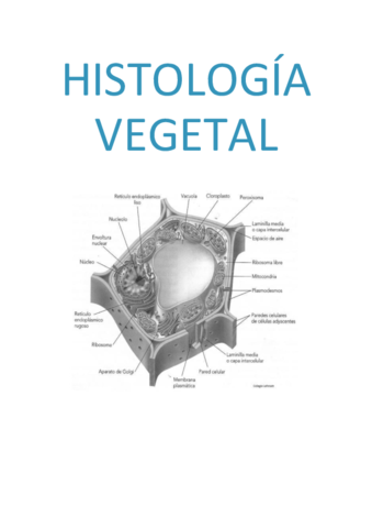 Histologia-vegetal-completo.pdf