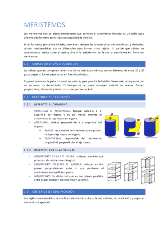 Tema-3-Meristemos.pdf