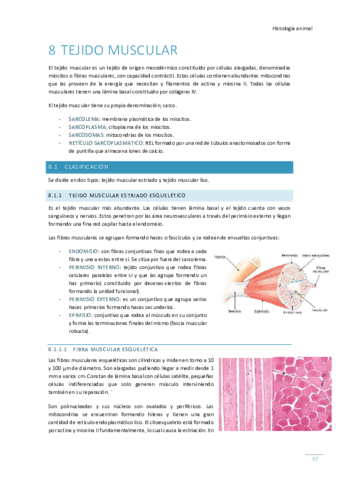 Tema-8-Tejido-muscular.pdf
