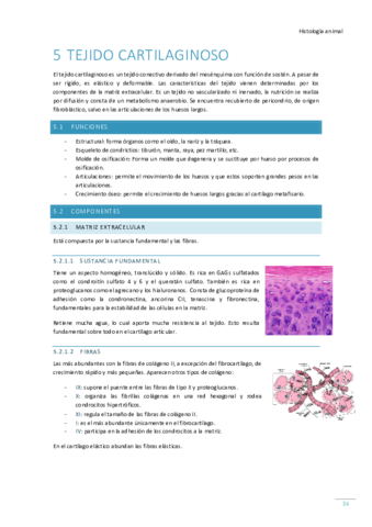 Tema-5-Tejido-cartilaginoso.pdf