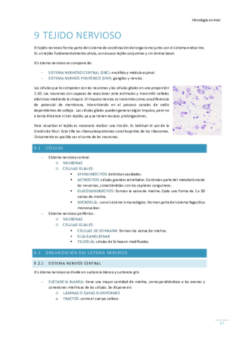 Tema-9-Tejido-nervioso.pdf