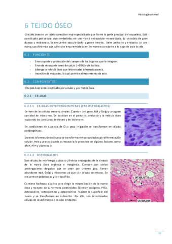 Tema-6-Tejido-oseo.pdf
