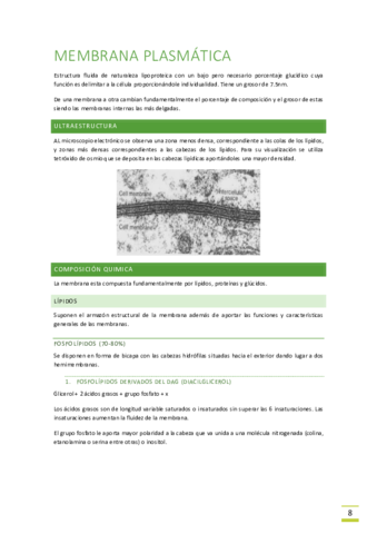 Tema-2-membrana-plasmatica.pdf