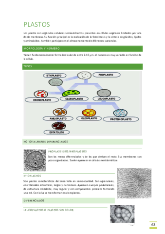 Tema-9-Plastos-y-Cloroplastos.pdf