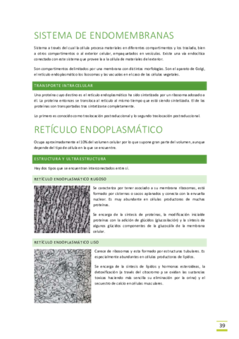 Tema-6-Sistema-de-endomembranas.pdf