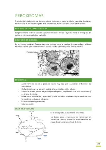 Tema-10-Peroxisomas.pdf