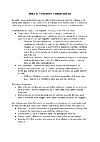 Resumen-Percepcion-Computacional.pdf