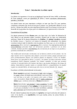 Tema 1 - La célula vegetal.pdf