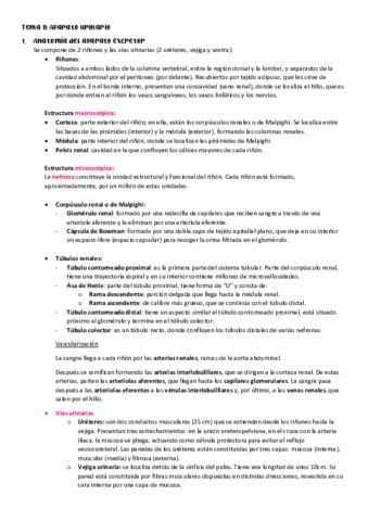 Resumen.pdf
