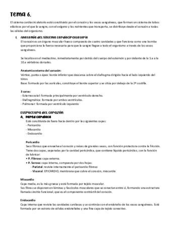 Tema-6.pdf